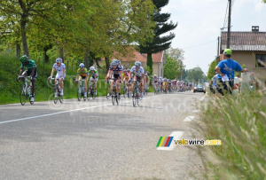 The peloton at the first sprint (533x)