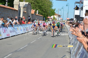 The finish of the peloton (1) (281x)