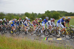 Thibaut Pinot (FDJ) dans le peloton (367x)