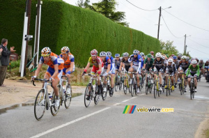 Le peloton sur la Côte de Talencieux (527x)