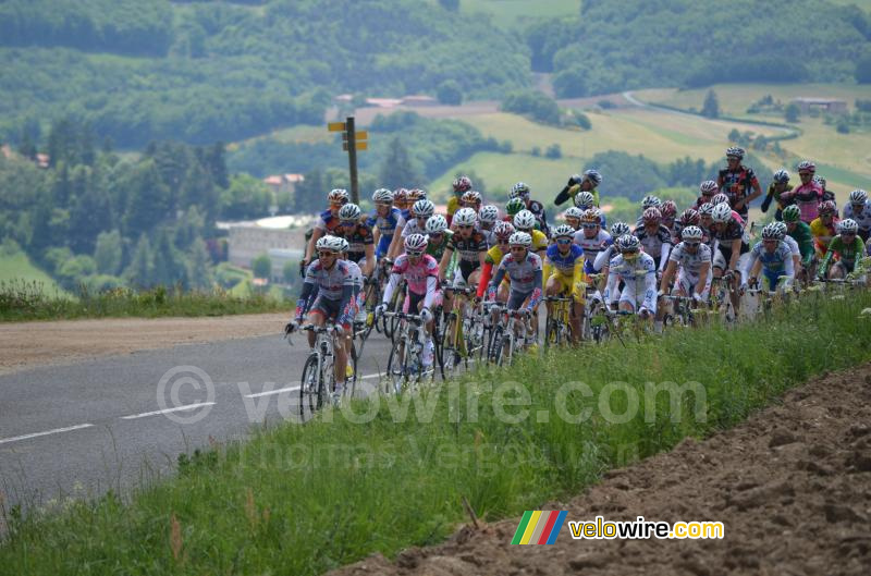 Het peloton