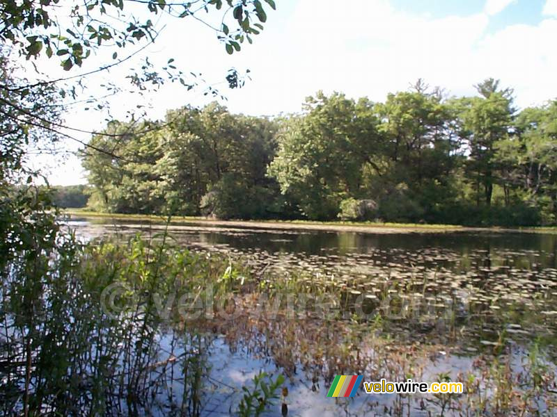 [Boston] - A lake near Concord