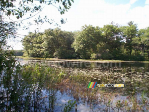 [Boston] - Un lac à côté de Concord (217x)