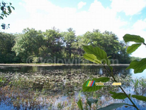 [Boston] - Un lac à côté de Concord (196x)